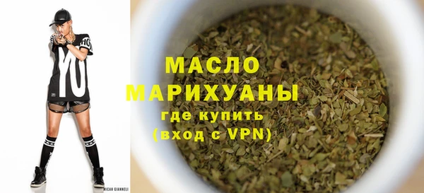 шишки Медвежьегорск