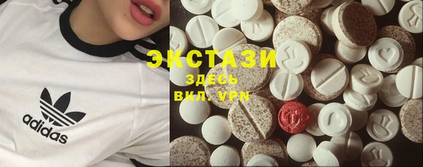 шишки Медвежьегорск
