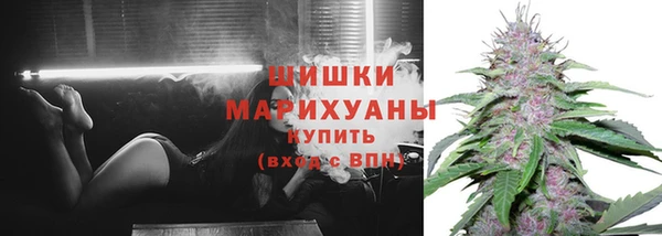 шишки Медвежьегорск