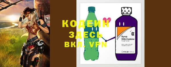шишки Медвежьегорск