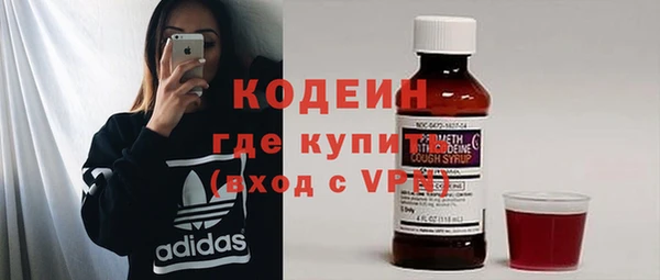 шишки Медвежьегорск