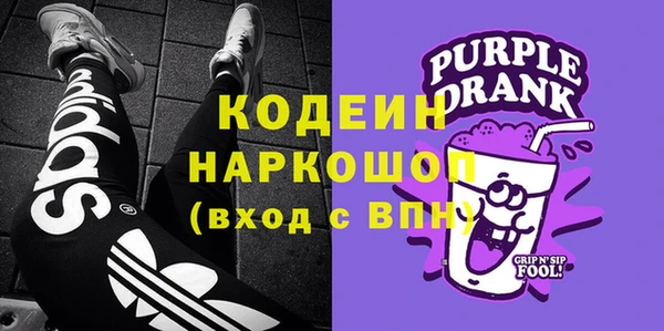 шишки Медвежьегорск