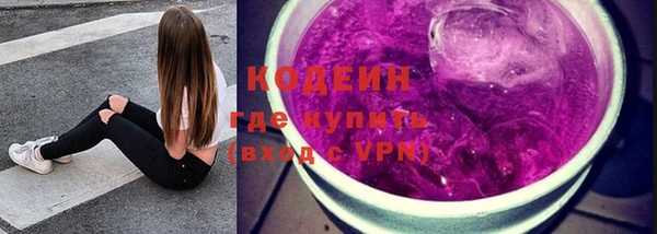 шишки Медвежьегорск