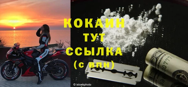 шишки Медвежьегорск